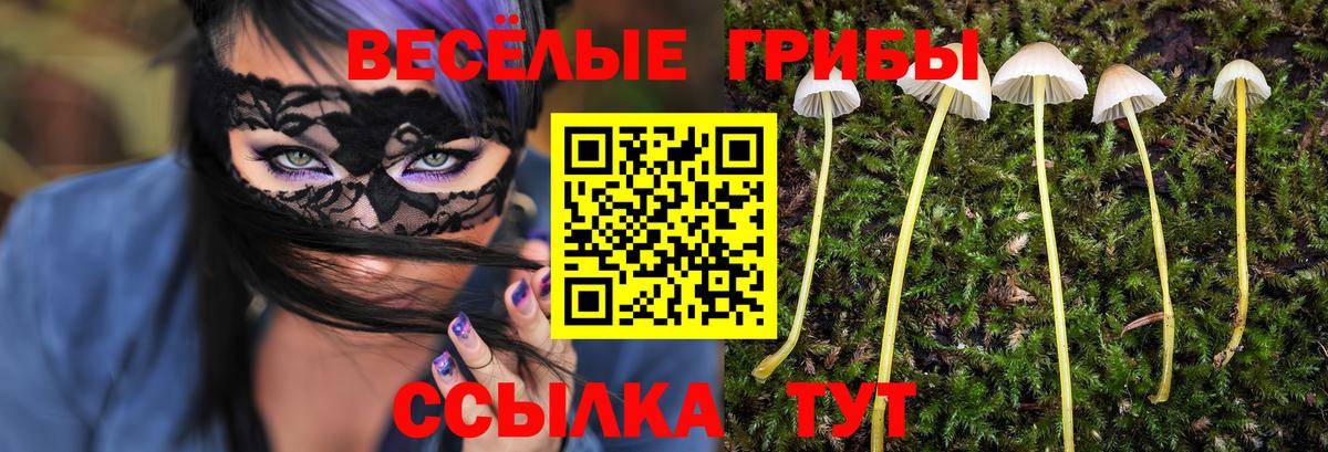 Рубцовск  Псилоцибиновые грибы прущие грибы  Вход с VPN 